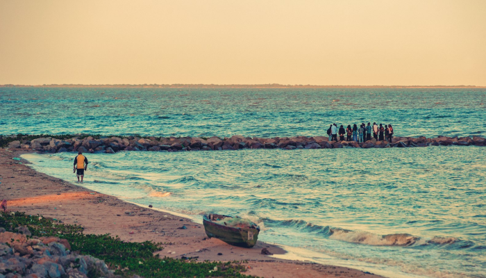 江阳疫情最新：科学防疫与坚定信心携手共创健康未来