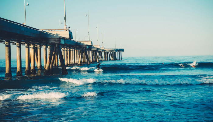 全球疫情最新观察