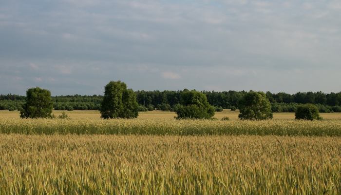 宝安最新的疫情：最新动态与防控措施