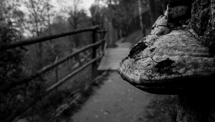 常熟最新疫情通报:全面了解防疫进展与生活指南 常熟最新疫情通报:全面了解防疫进展与生活指南