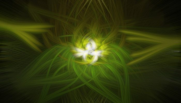 召东最新疫情：全面了解防疫最新动态与未来展望