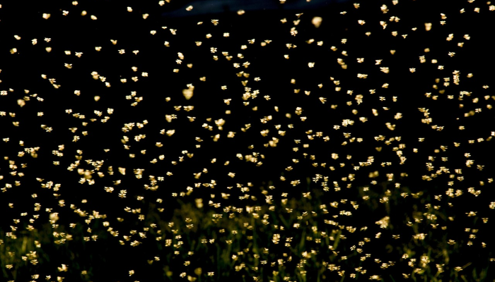 舟桥疫情最新动态:全面解读防疫进程与未来展望 舟桥疫情最新动态:全面解读防疫进程与未来展望