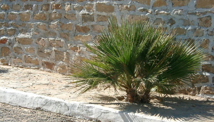 侯马现在最新疫情：保护自己，共同抗疫