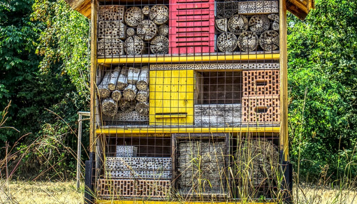 商丘街头疫情视频最新：一窥城市防疫实战与民众应对