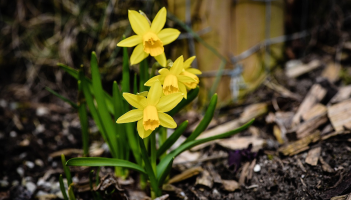 荔湾和平最新疫情通报:紧急情况下的科学防疫措施与社区支持 荔湾和平最新疫情通报:紧急情况下的科学防疫措施与社区支持