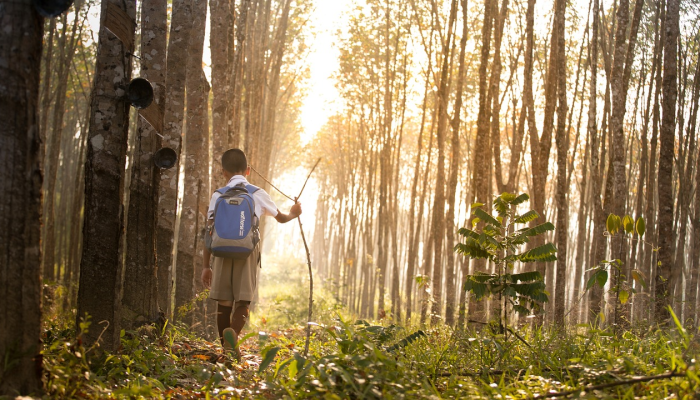 昭平樟木疫情最新情况:你需要知道的一切 昭平樟木疫情最新情况:你需要知道的一切