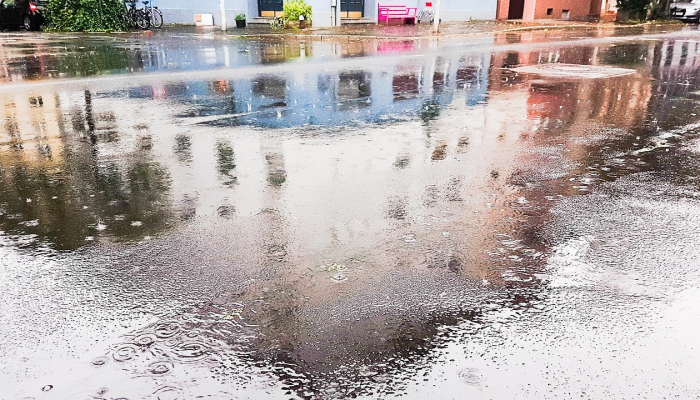 即墨龙泉最新疫情:让你了解最新动态与防护知识 即墨龙泉最新疫情:让你了解最新动态与防护知识