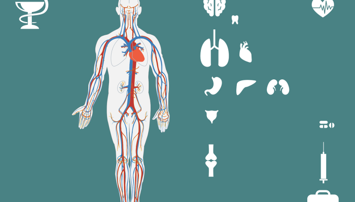 左旗疫情最新报告：您的健康守护者
